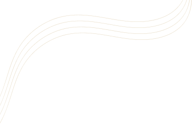 Setpal Consultancy