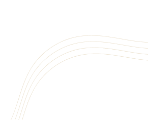 Setpal Consultancy