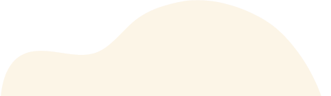 Setpal Consultancy